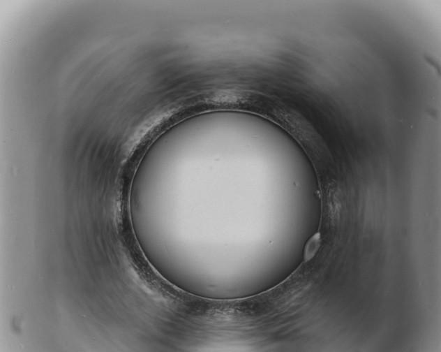 X0000103300728200809051522