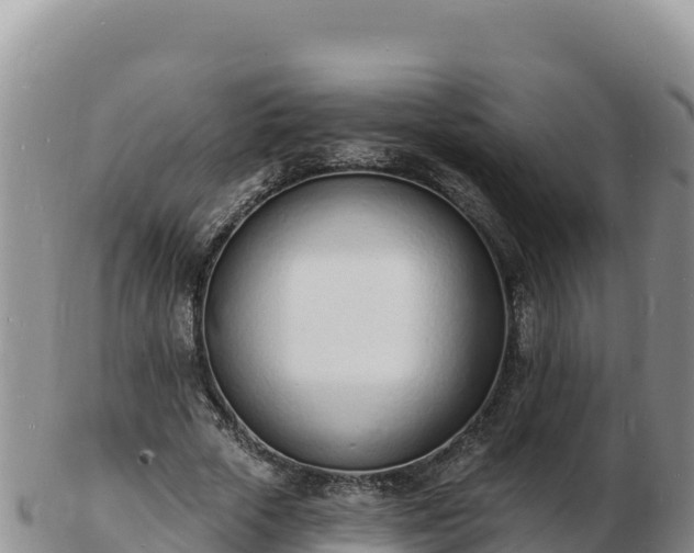 X0000103300729200809051522