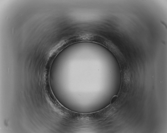 X0000103300730200809051522