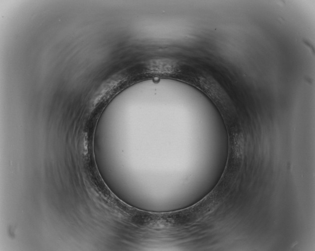 X0000103300731200809051522