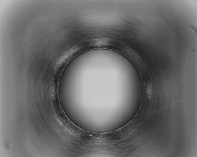 X0000103300732200809051522