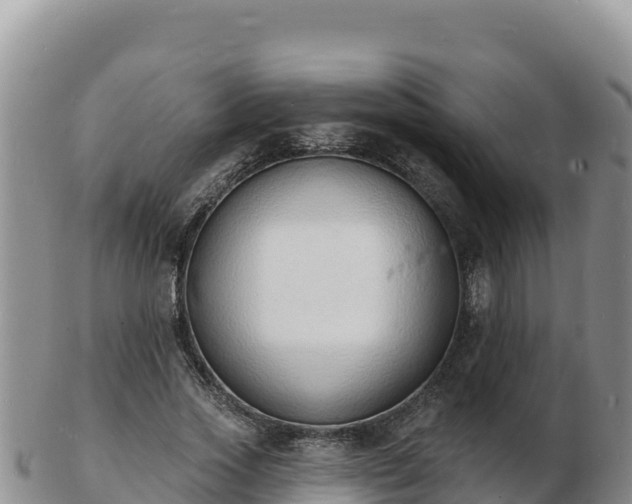 X0000103300733200809051522