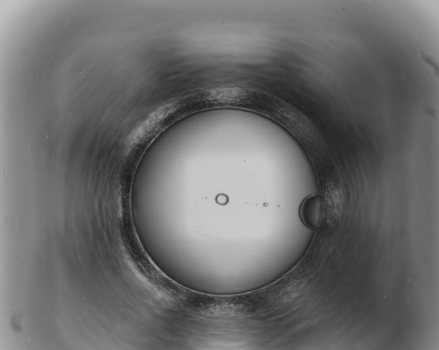 X0000103300734200809051522