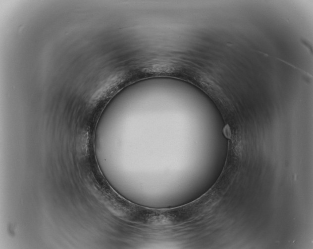 X0000103300735200809051522