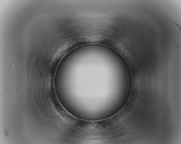 X0000103300736200809051522