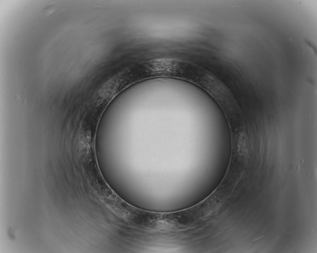 X0000103300737200809051522