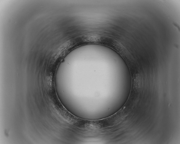 X0000103300739200809051522