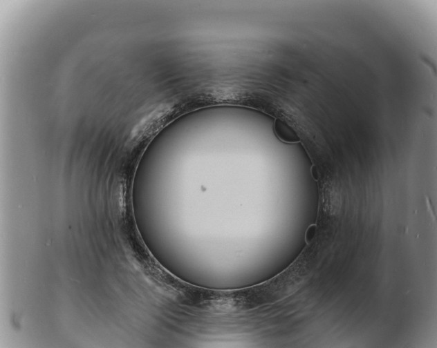 X0000103300740200809051522