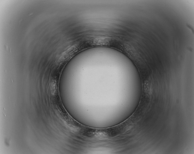 X0000103300741200809051522