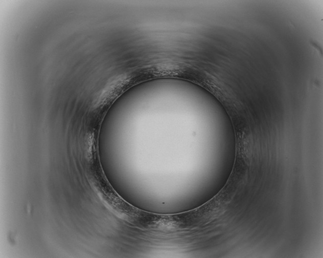 X0000103300742200809051522