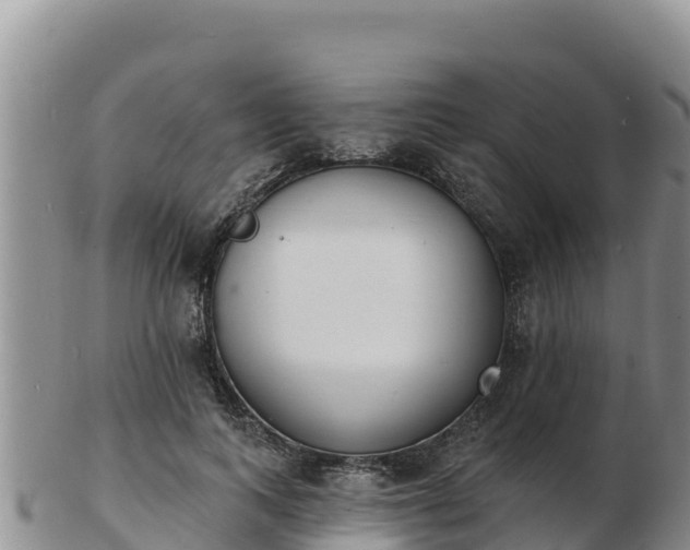 X0000103300743200809051522