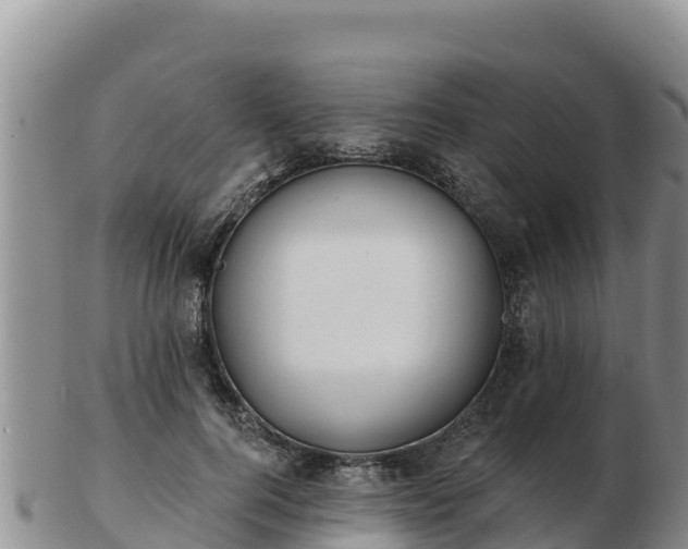 X0000103300744200809051522