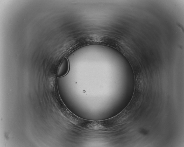 X0000103300747200809051522