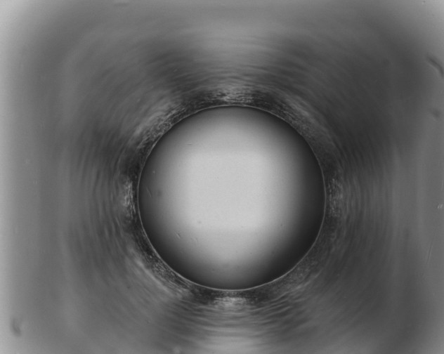 X0000103300748200809051522