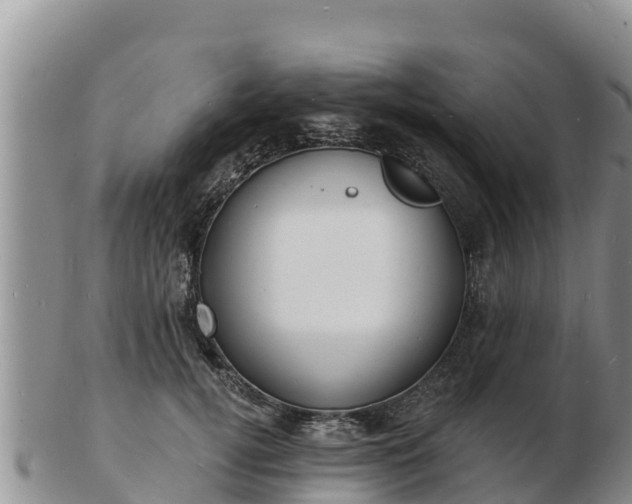 X0000103300752200809051522