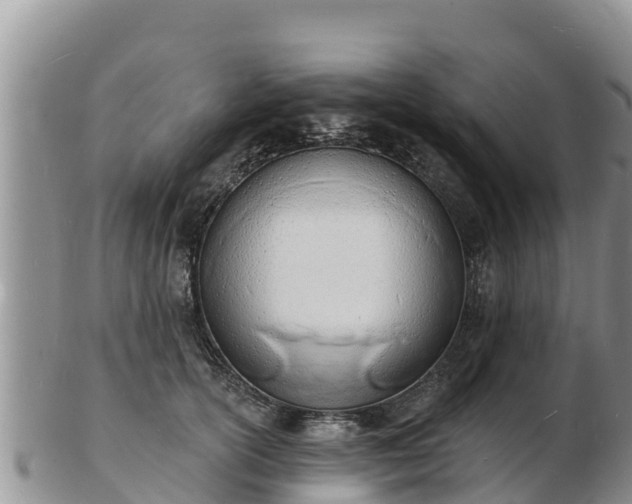 X0000103300754200809051522