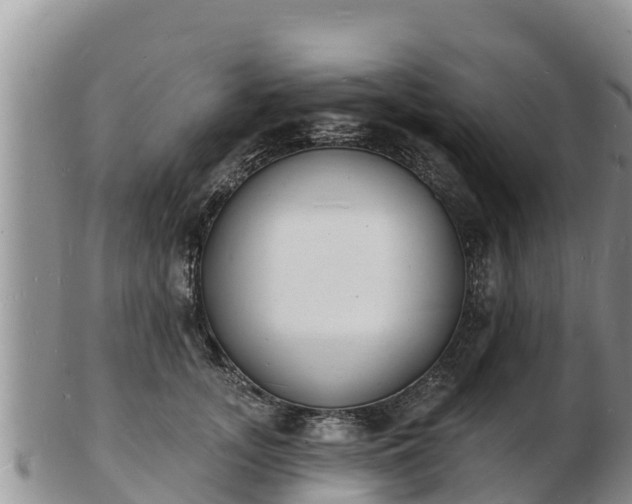 X0000103300755200809051522