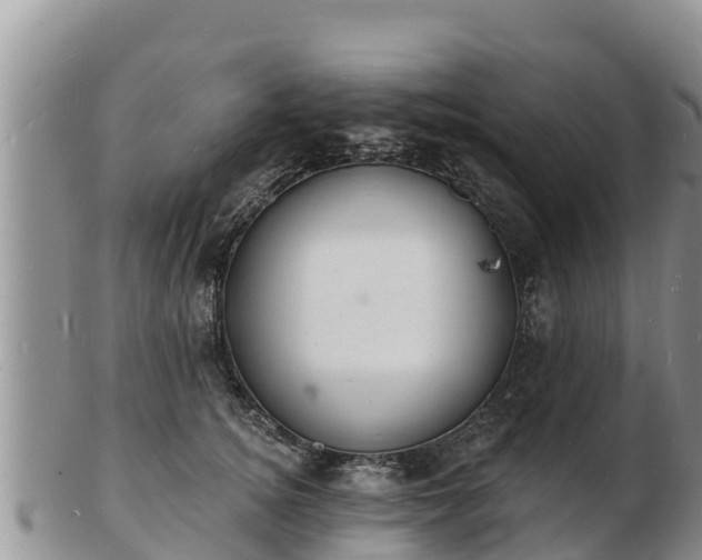 X0000103300756200809051522