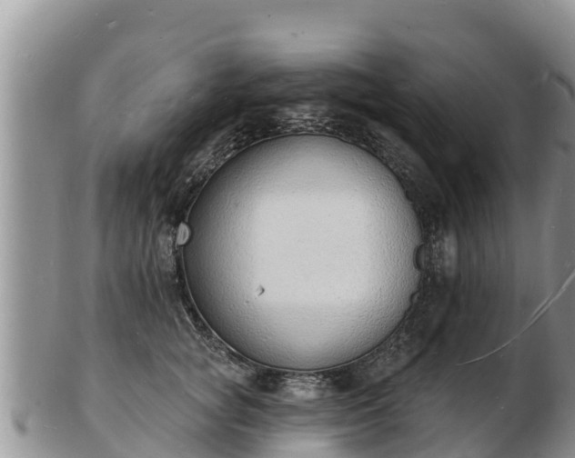 X0000103300757200809051522