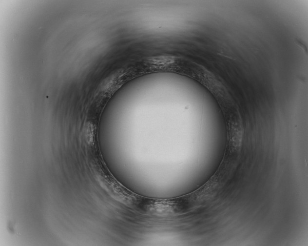 X0000103300758200809051522