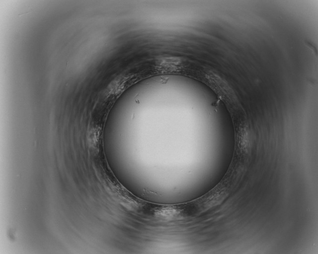 X0000103300759200809051522