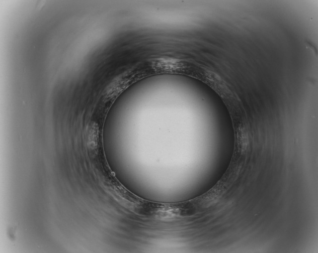 X0000103300760200809051522