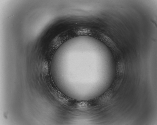 X0000103300761200809051522