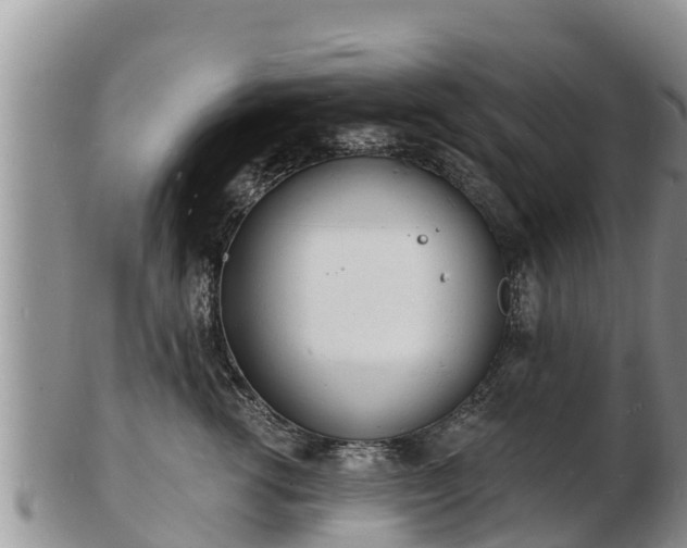 X0000103300762200809051522