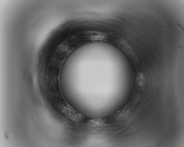 X0000103300763200809051522