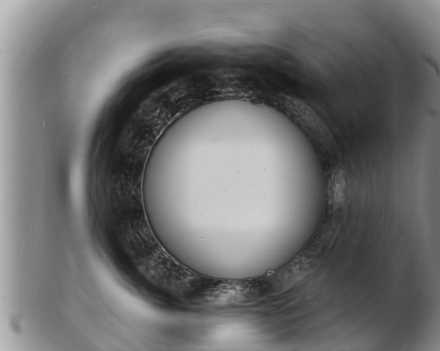 X0000103300764200809051522