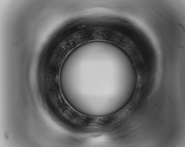 X0000103300765200809051522