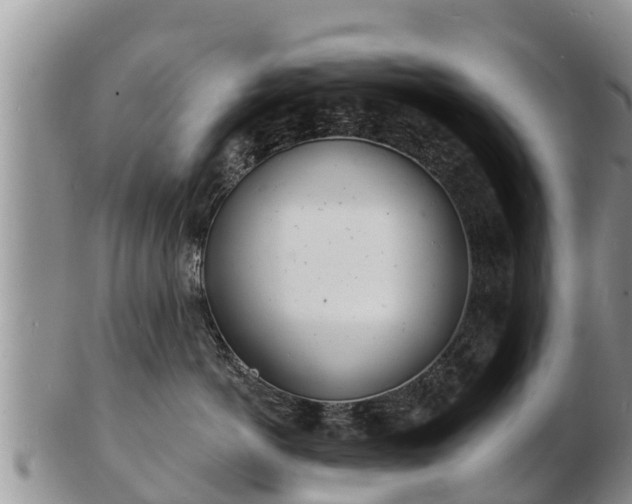 X0000103300766200809051522