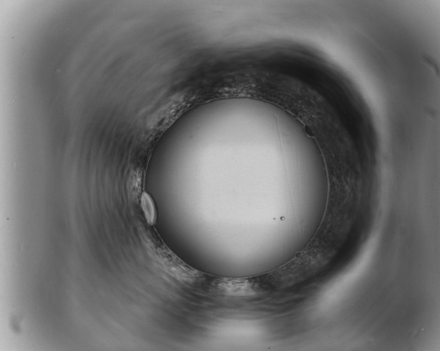 X0000103300767200809051522