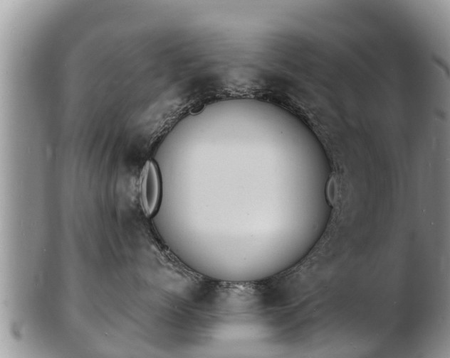 X0000103300768200809051522