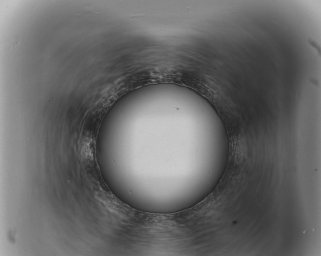 X0000103300770200809051522