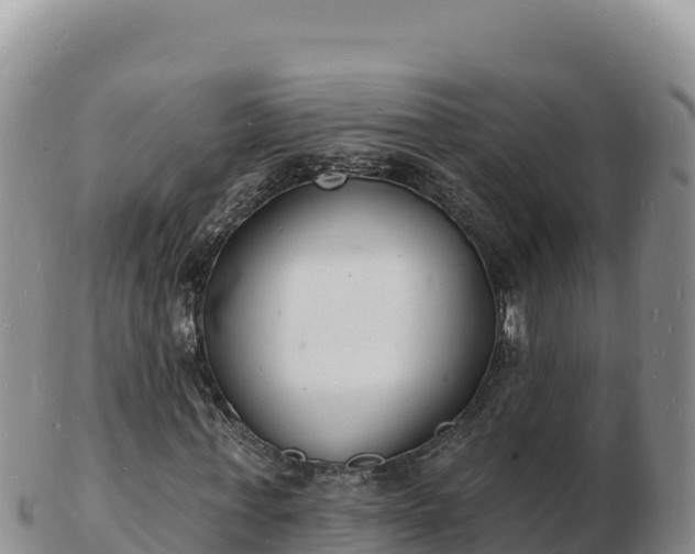 X0000103300771200809051522