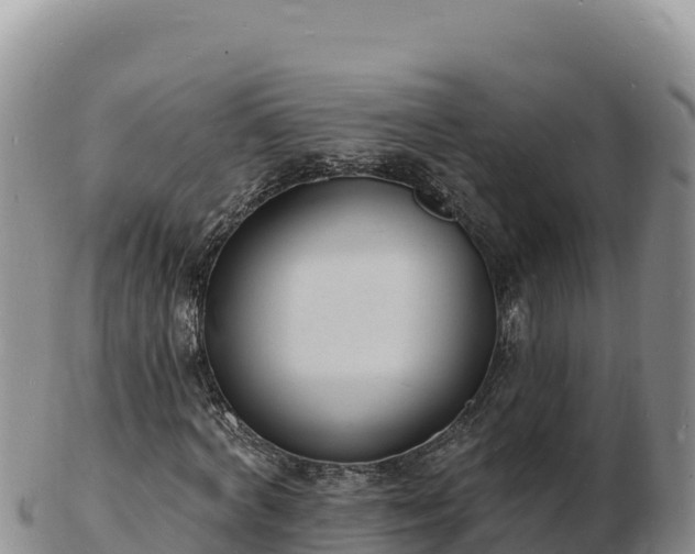 X0000103300772200809051522