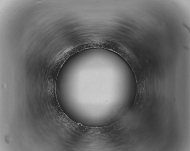 X0000103300773200809051522