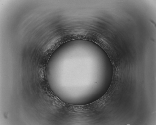 X0000103300774200809051522