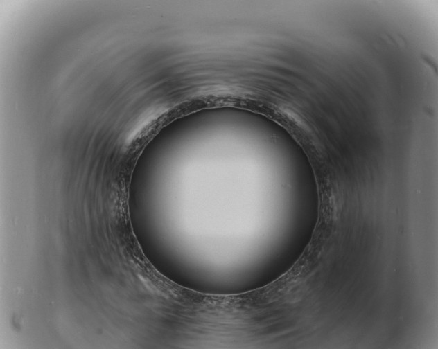 X0000103300775200809051522