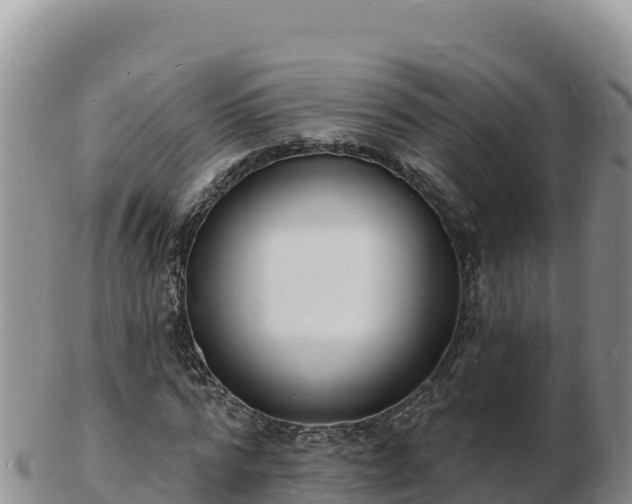 X0000103300776200809051522