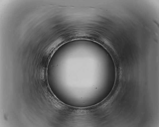 X0000103300777200809051522