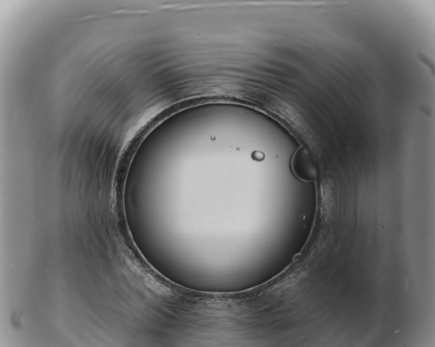 X0000103300780200809051521