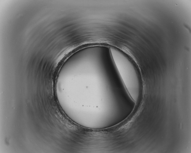 X0000103300781200809051521