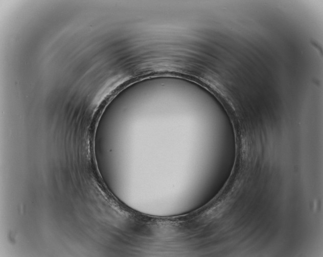 X0000103300782200809051521