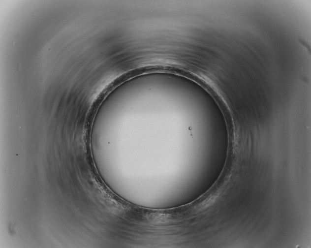 X0000103300783200809051521