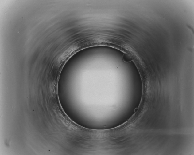 X0000103300785200809051521