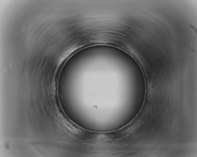 X0000103300787200809051521