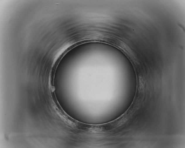 X0000103300788200809051521