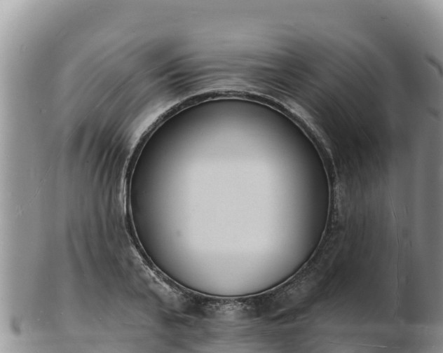 X0000103300791200809051521